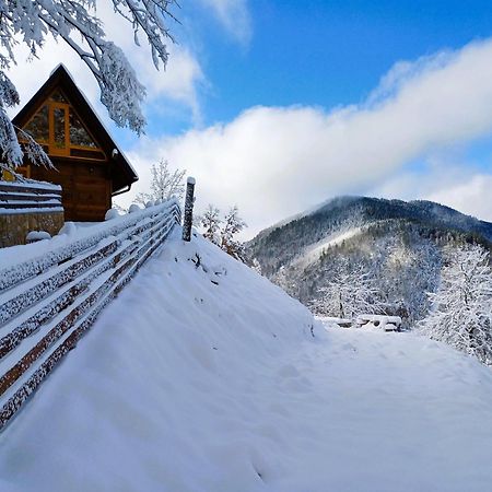 Drvene Kuce Suska - Wooden Houses Suska Zaovine 外观 照片
