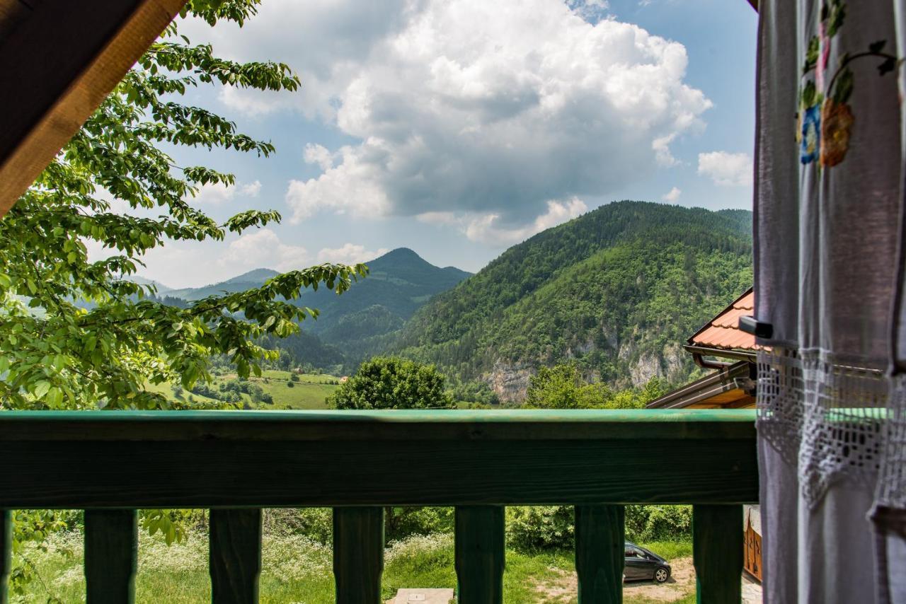 Drvene Kuce Suska - Wooden Houses Suska Zaovine 外观 照片