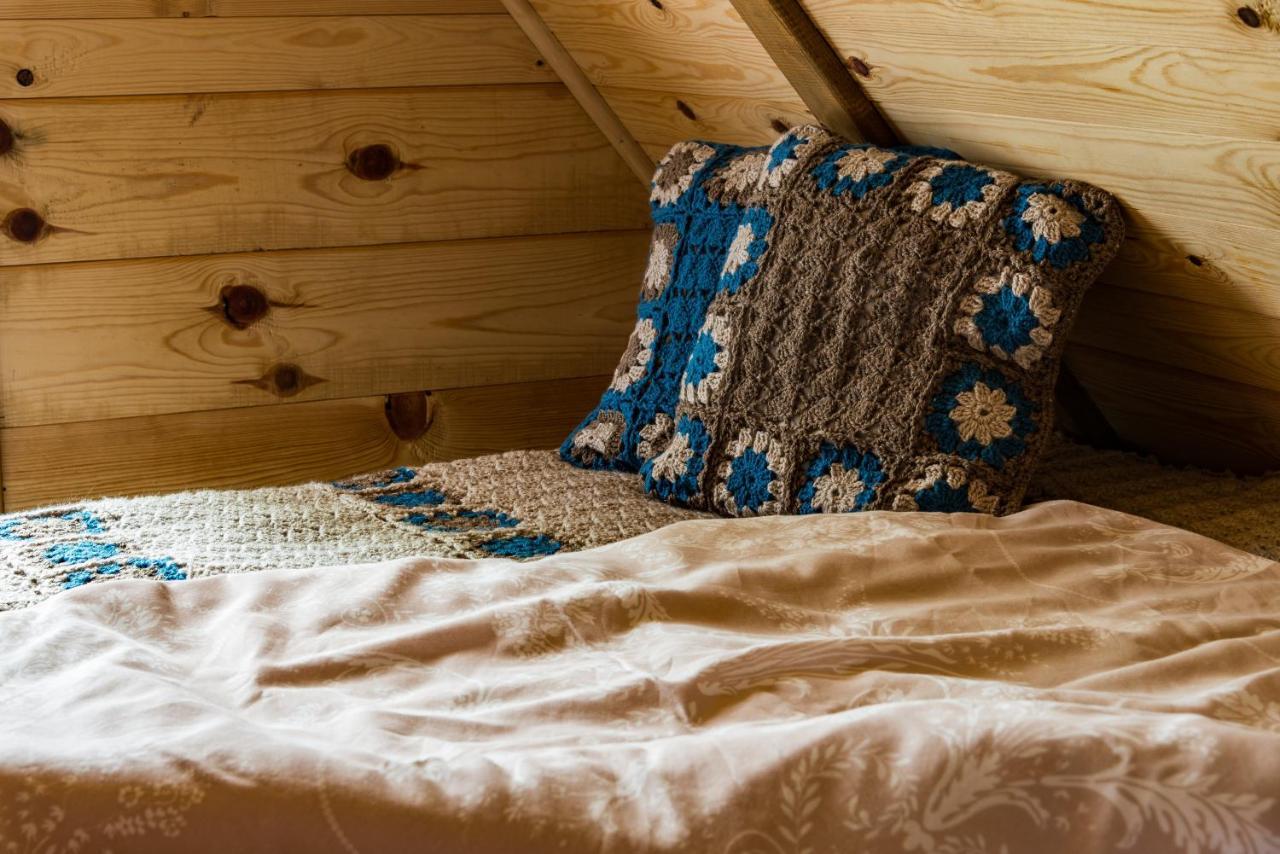Drvene Kuce Suska - Wooden Houses Suska Zaovine 外观 照片