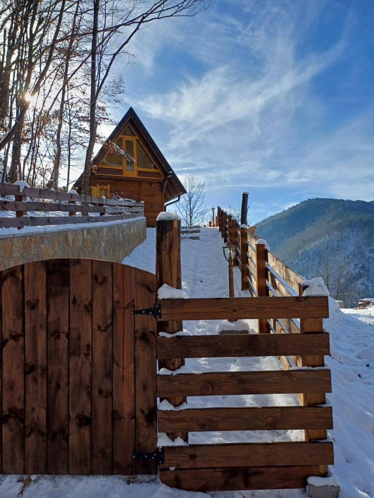 Drvene Kuce Suska - Wooden Houses Suska Zaovine 外观 照片