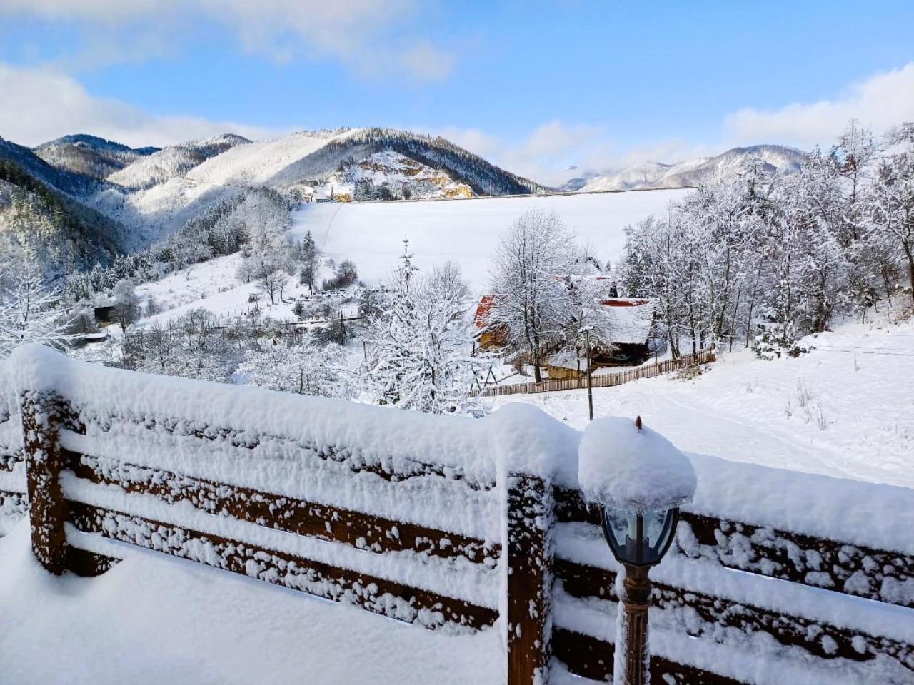 Drvene Kuce Suska - Wooden Houses Suska Zaovine 客房 照片