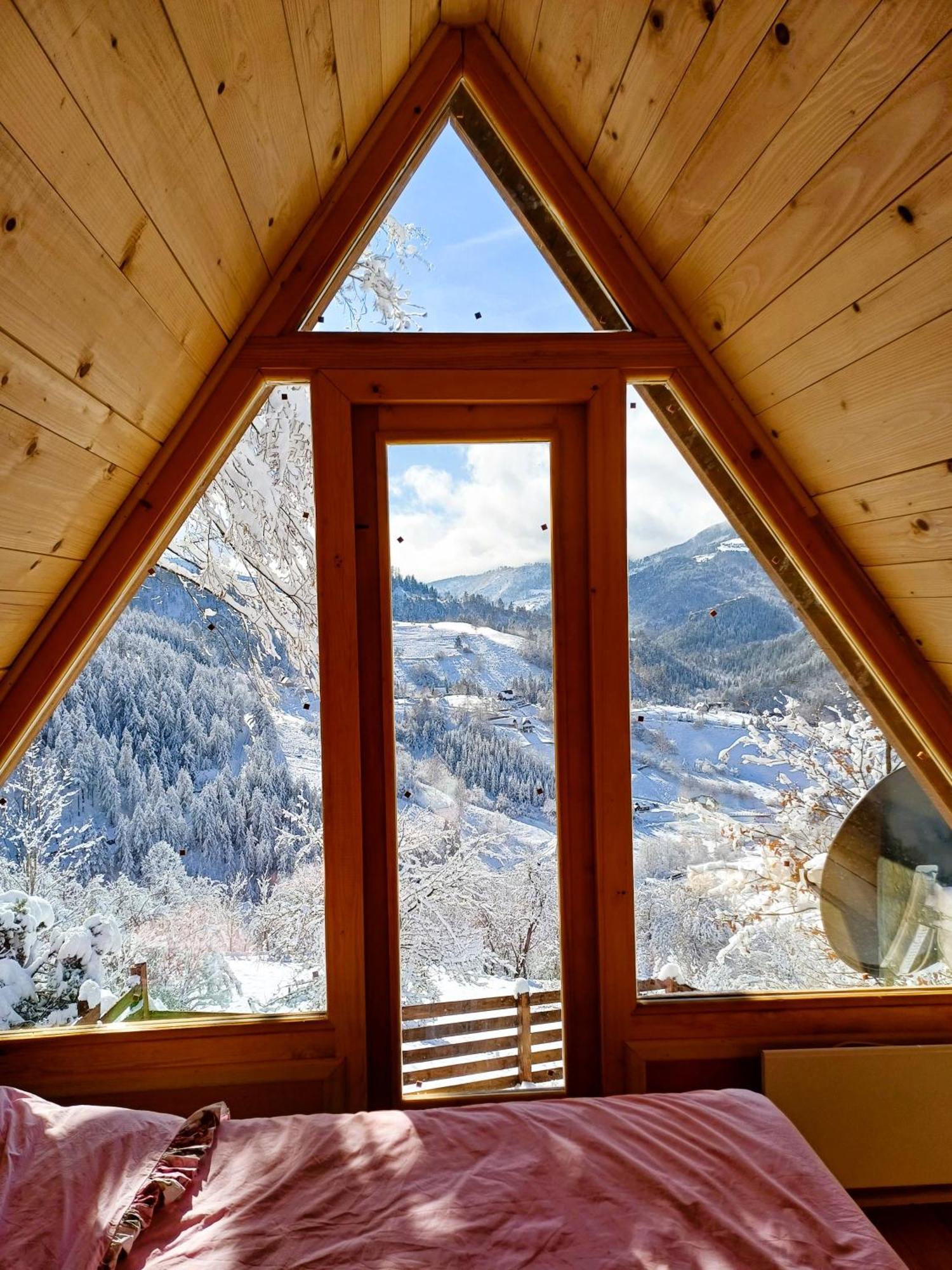 Drvene Kuce Suska - Wooden Houses Suska Zaovine 外观 照片