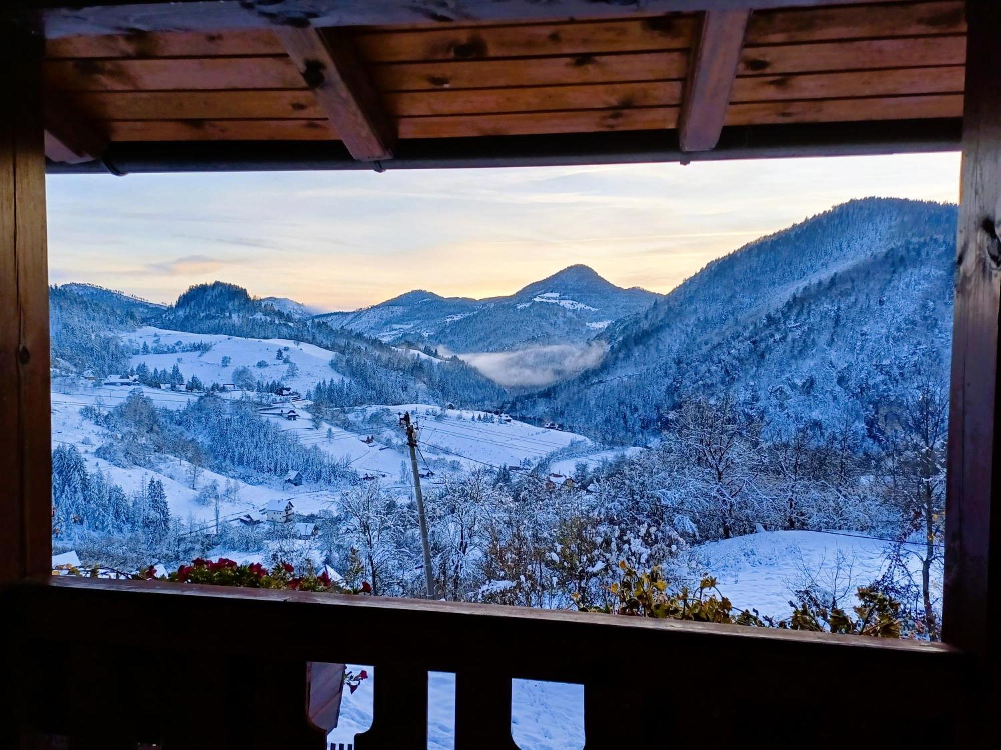 Drvene Kuce Suska - Wooden Houses Suska Zaovine 外观 照片