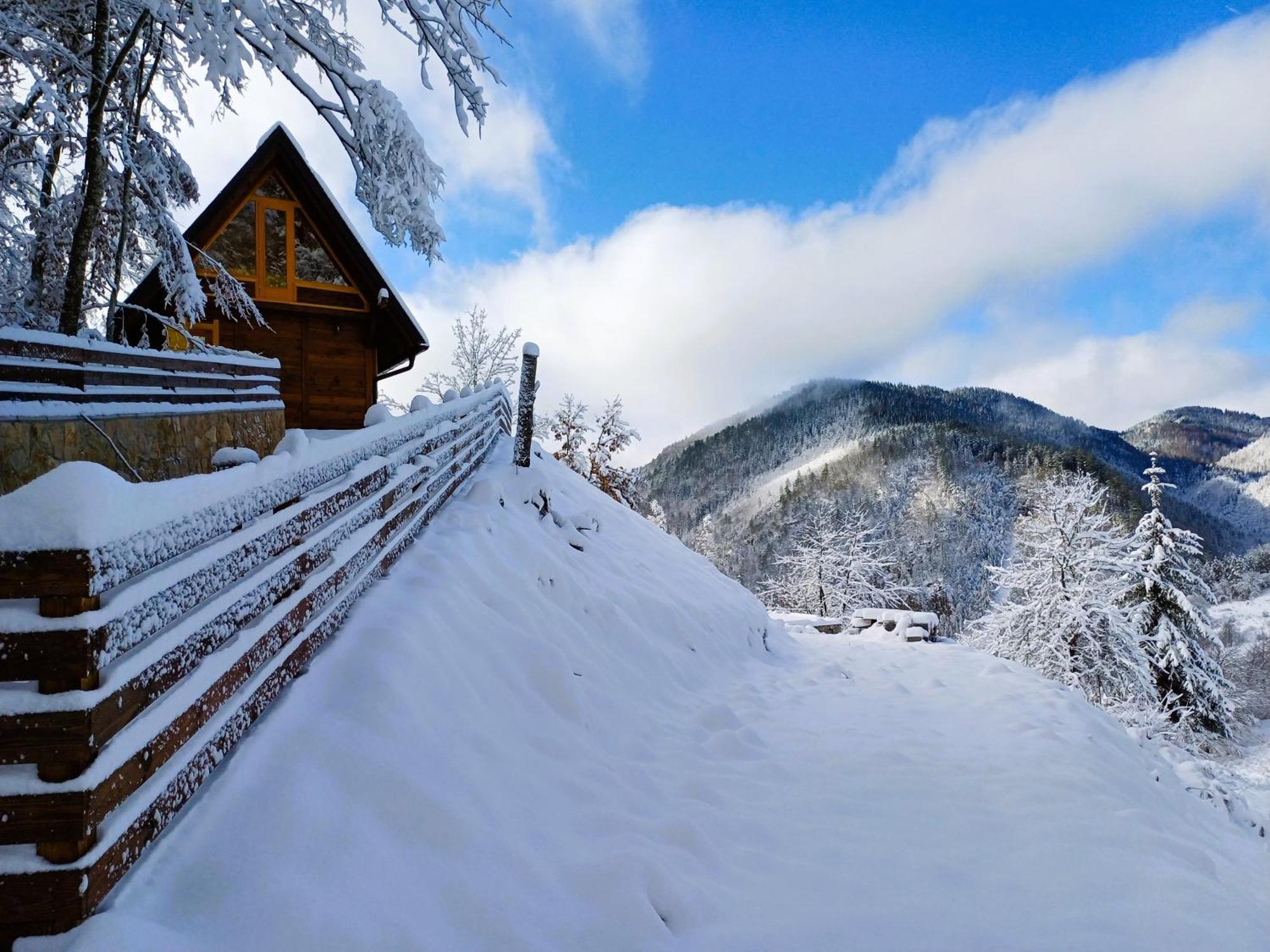 Drvene Kuce Suska - Wooden Houses Suska Zaovine 外观 照片