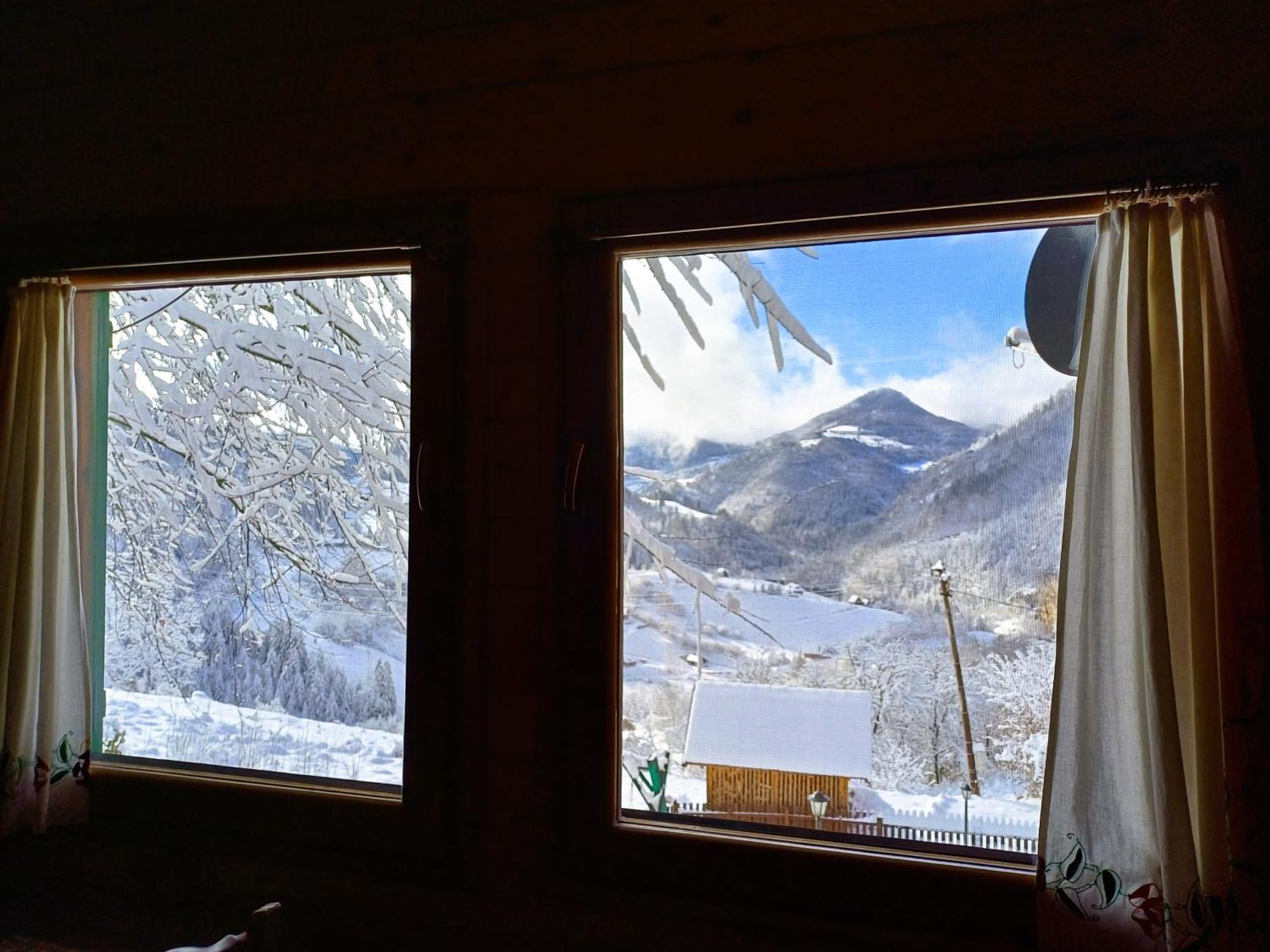 Drvene Kuce Suska - Wooden Houses Suska Zaovine 外观 照片